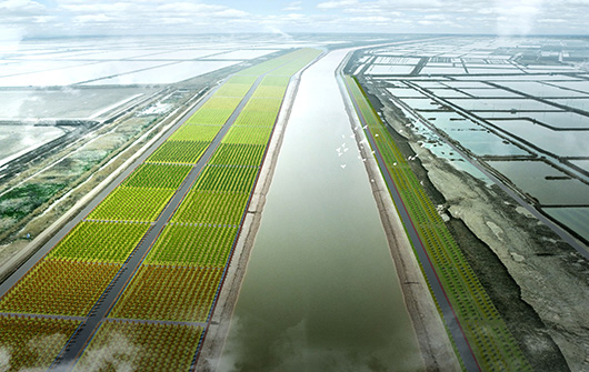 新生河生態廊道.jpg